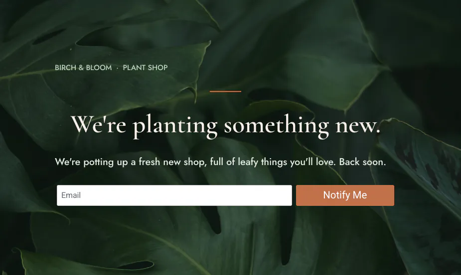 Birch and Bloom coming-soon page live for visitors with the headline we're planting something new