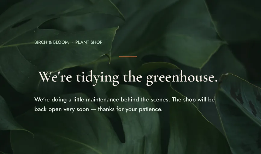Birch and Bloom maintenance page live for visitors with the headline we're tidying the greenhouse