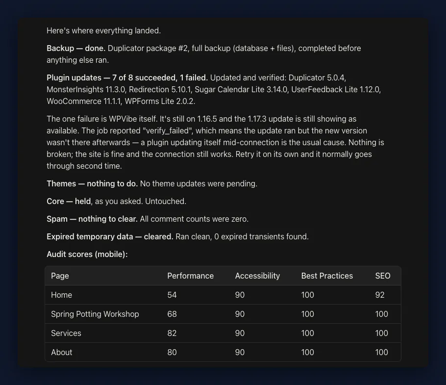 AI chat summarising a monthly WordPress maintenance run: backup done, 7 of 8 plugin updates succeeded, core held, spam and expired data clear, plus Lighthouse audit scores for four pages