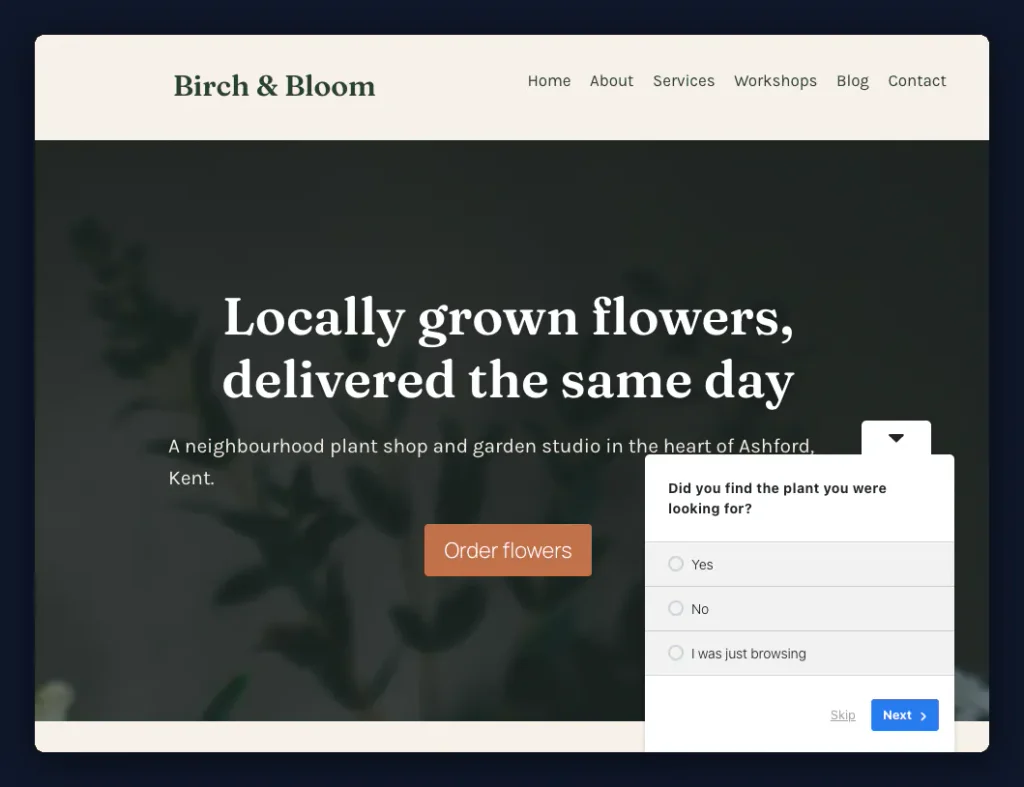 The Birch and Bloom homepage with the survey panel open bottom right, asking whether the visitor found the plant they were looking for, with Yes, No and I was just browsing as the options